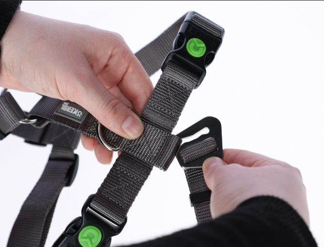 Kerbl escape-proof harness detail
