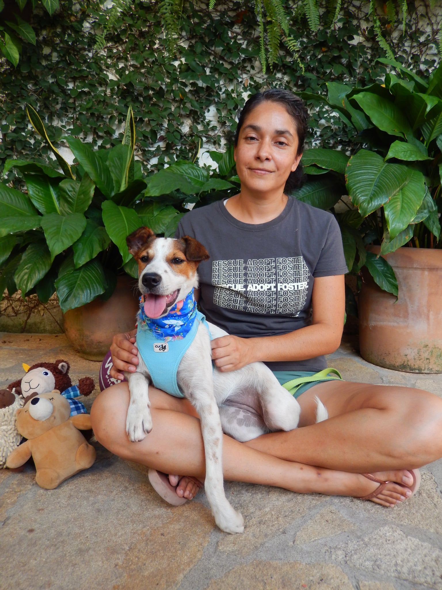 A past PVCA rescue
