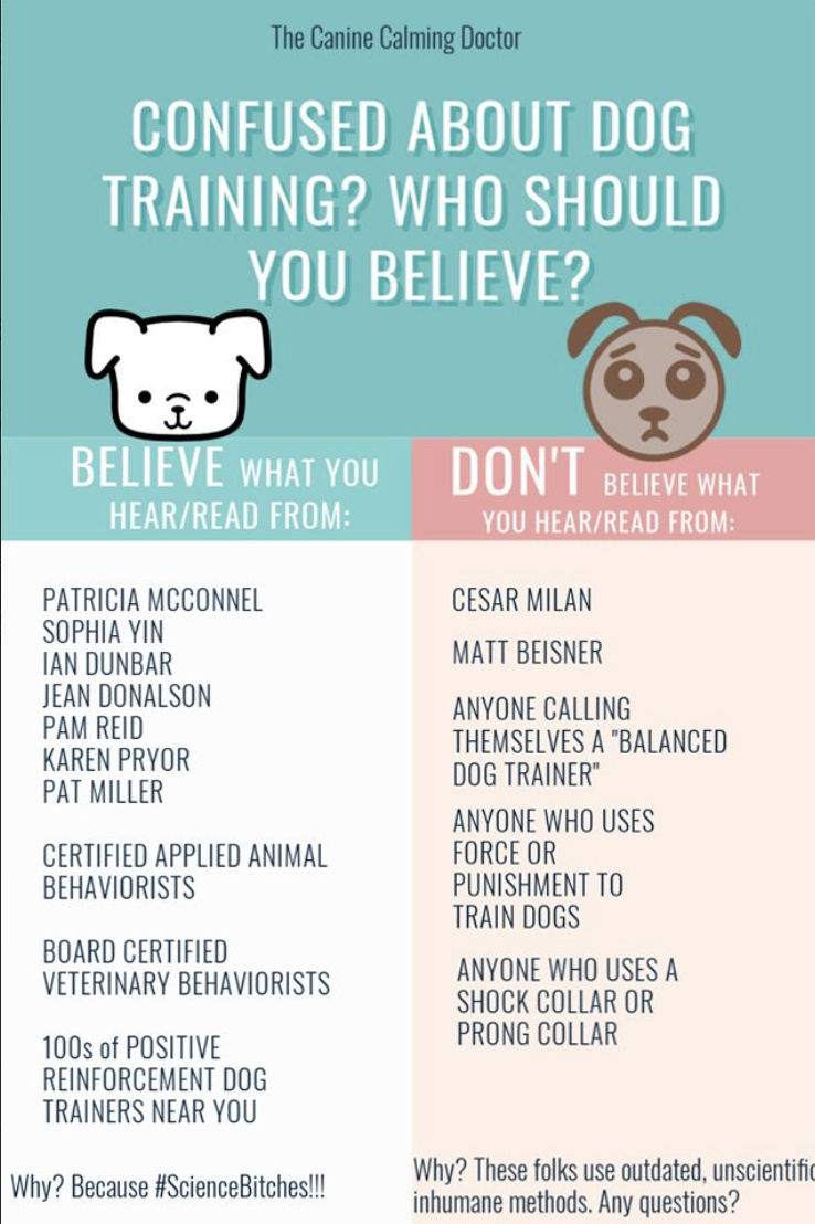 Confused about dog training? Believe trainers using positive, science-based methods.