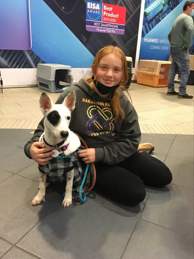A young adopter with her PVCA rescue dog